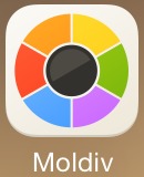 Moldiv for pc
